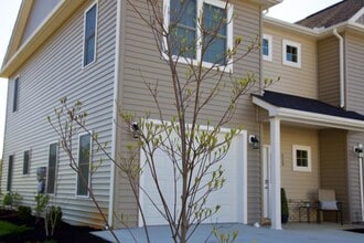 Building Photo - 239 Louise Ln