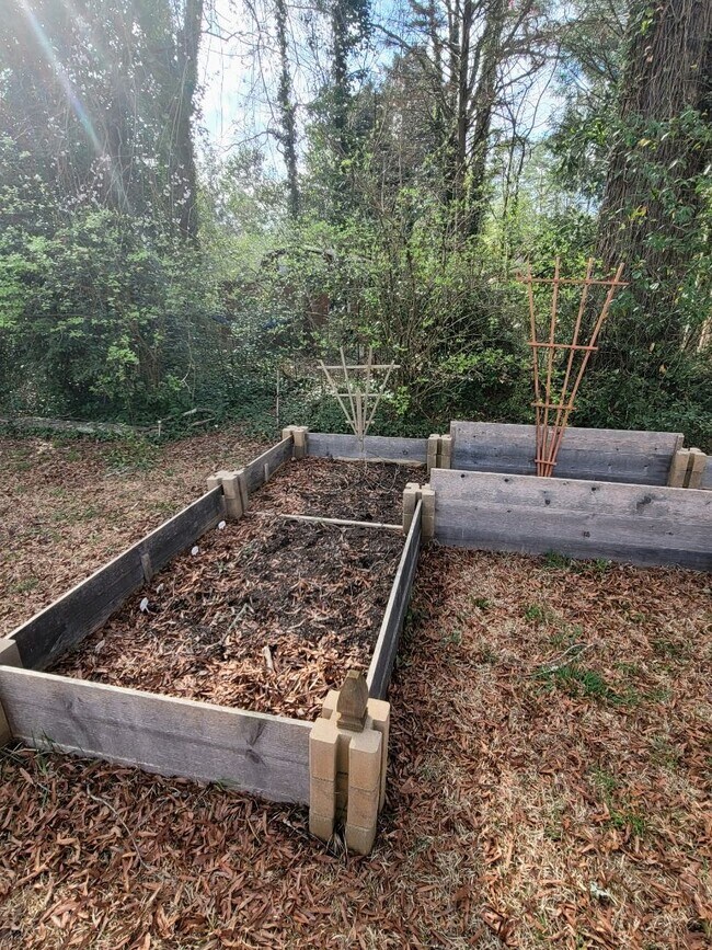 Building Photo - Beautiful Home