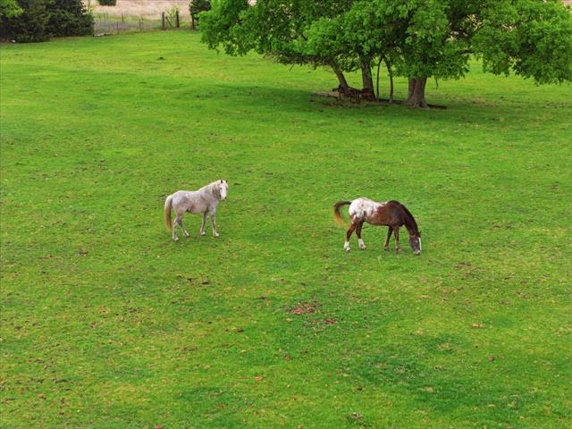 Building Photo - 12384 Co Rd 800