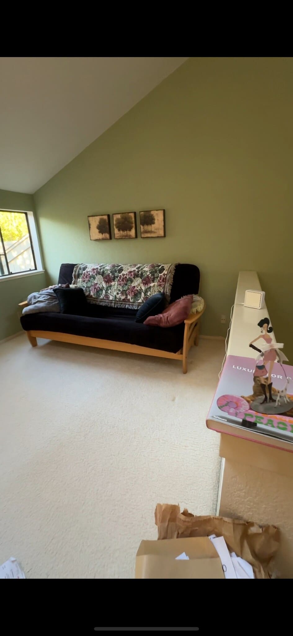 Upstairs loft - 186 Pelican Ln