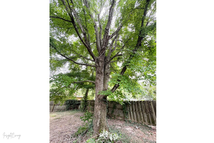 fenced yard - 2602 E Main St