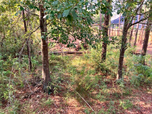 Building Photo - 164 Golden Meadow Dr