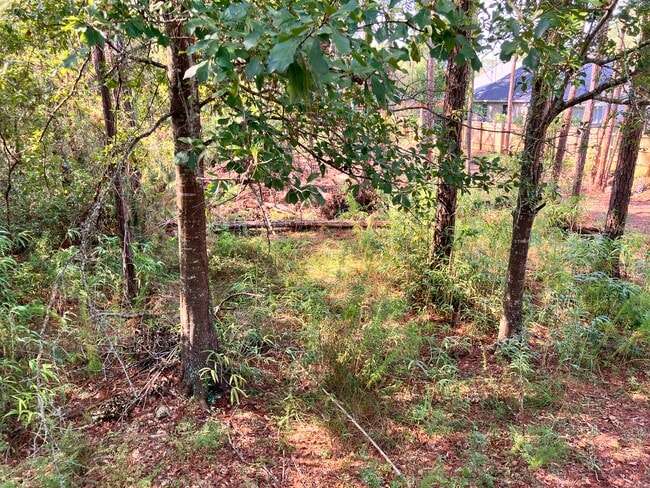 Building Photo - 212 Francis St