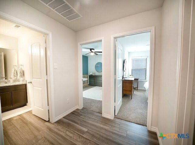 Building Photo - 3884 Lorenzen Ct