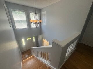 Building Photo - August Special 1/2 off Application Fee! Exceptional Family Home with Open Living Areas & Private ...