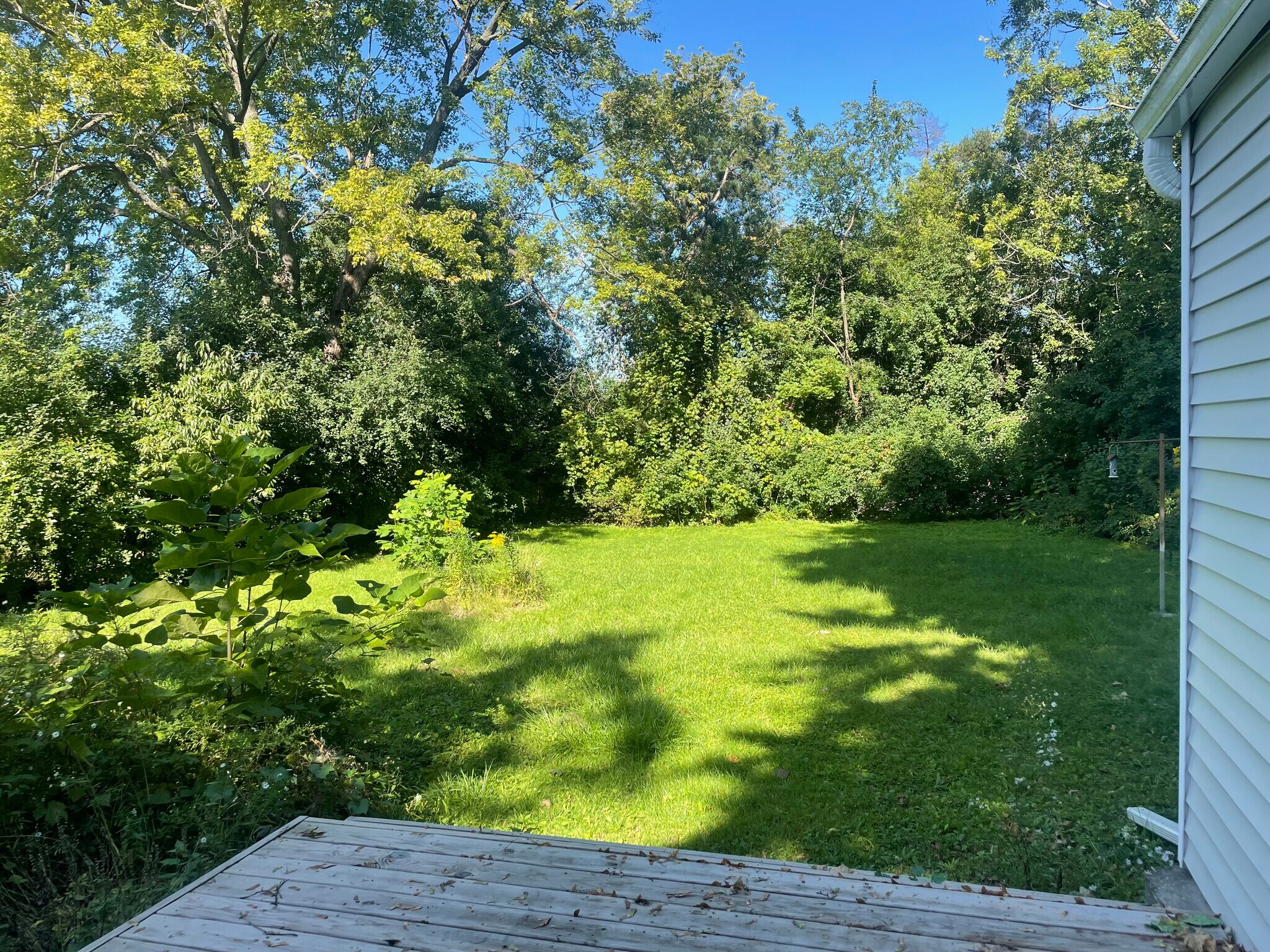 Building Photo - 119 Traister Dr