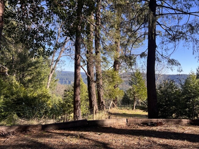 Building Photo - 19818 Scotts Flat Rd