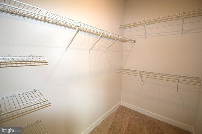 Building Photo - 11328 Willow Green Cir