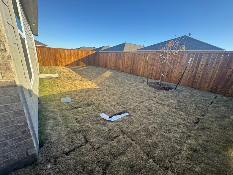Backyard - 14138 Lampard St