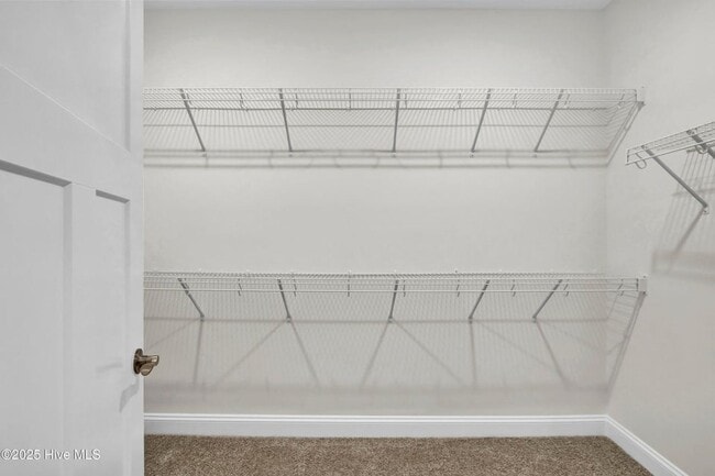 Building Photo - 2772 Longleaf Pine Cir