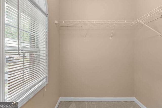 Building Photo - 6225 Shenfield Ln