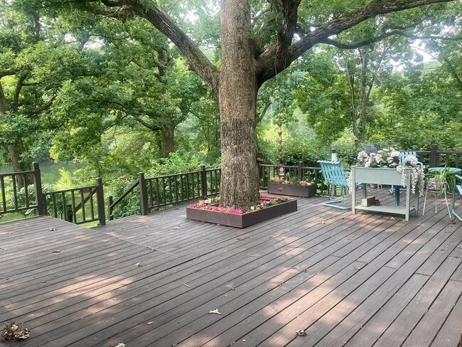 Building Photo - Beautiful Duplex Located in Serene, Wooded...