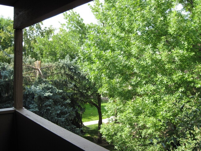 Building Photo - 3515 28th St