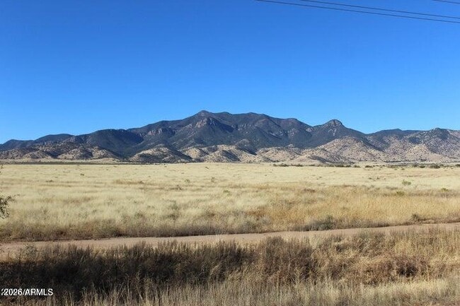 Building Photo - 1751 Wildflower Dr