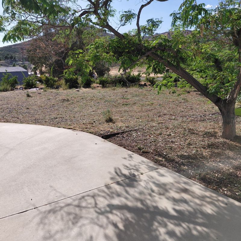 Building Photo - 33276 Homestead Ln