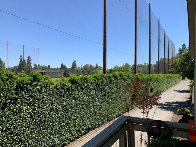 Building Photo - 2 Bedroom Condo on Country Club Road