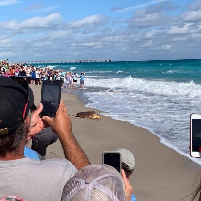 Building Photo - 404 Mainsail Cir