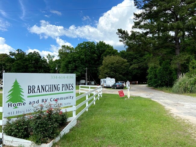 Primary Photo - Branching Pines