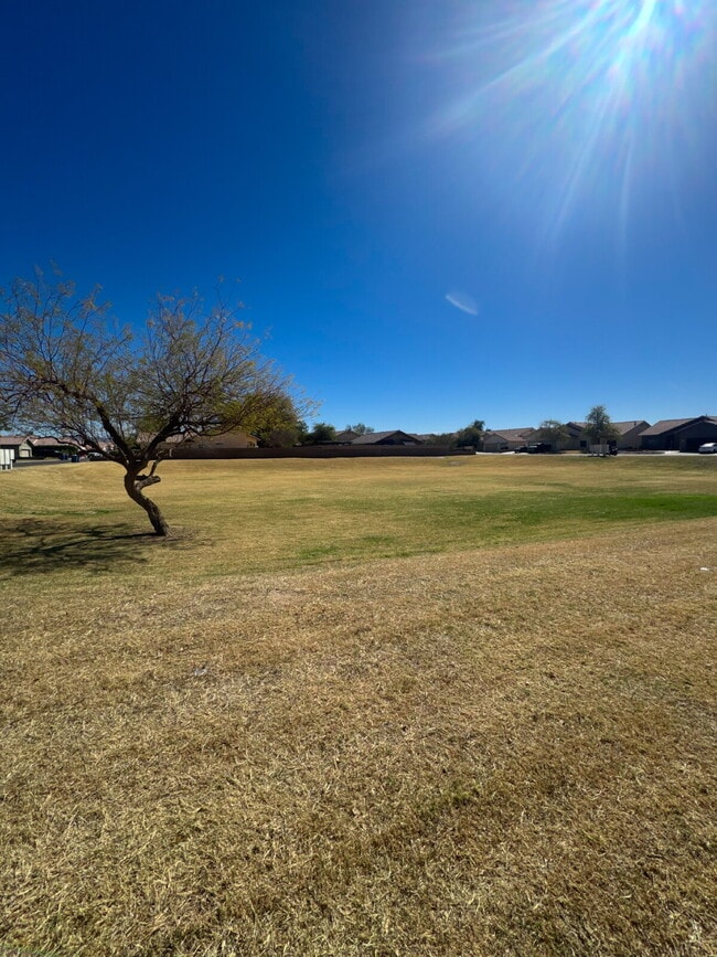 Building Photo - Stunning Foothills Paradise