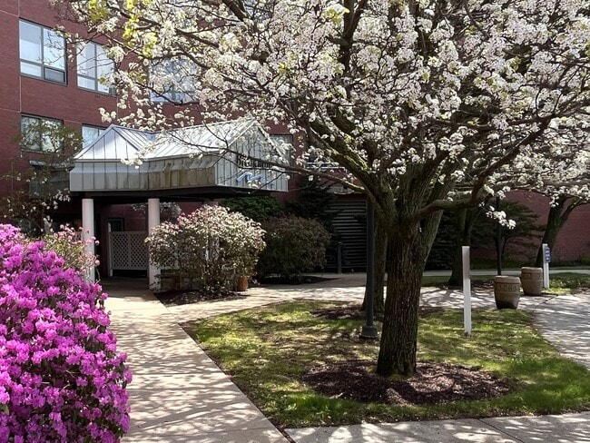 Building Photo - South Portland 2BD/1BA with Balcony at Bre...