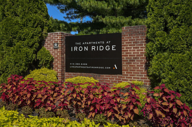 Building Photo - Iron Ridge and Stonegate Apartments