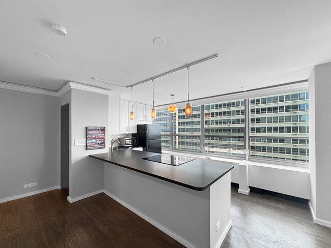 Building Photo - 3550 N Lake Shore Dr