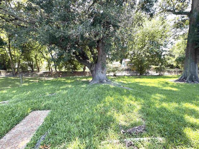 Building Photo - 165 Smelker Ave