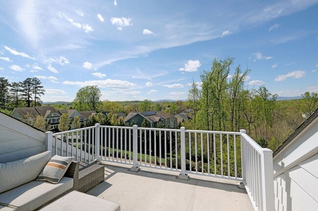 Building Photo - Pet-Friendly Townhome With Rooftop Terrace + Blue Ridge Mountain Views