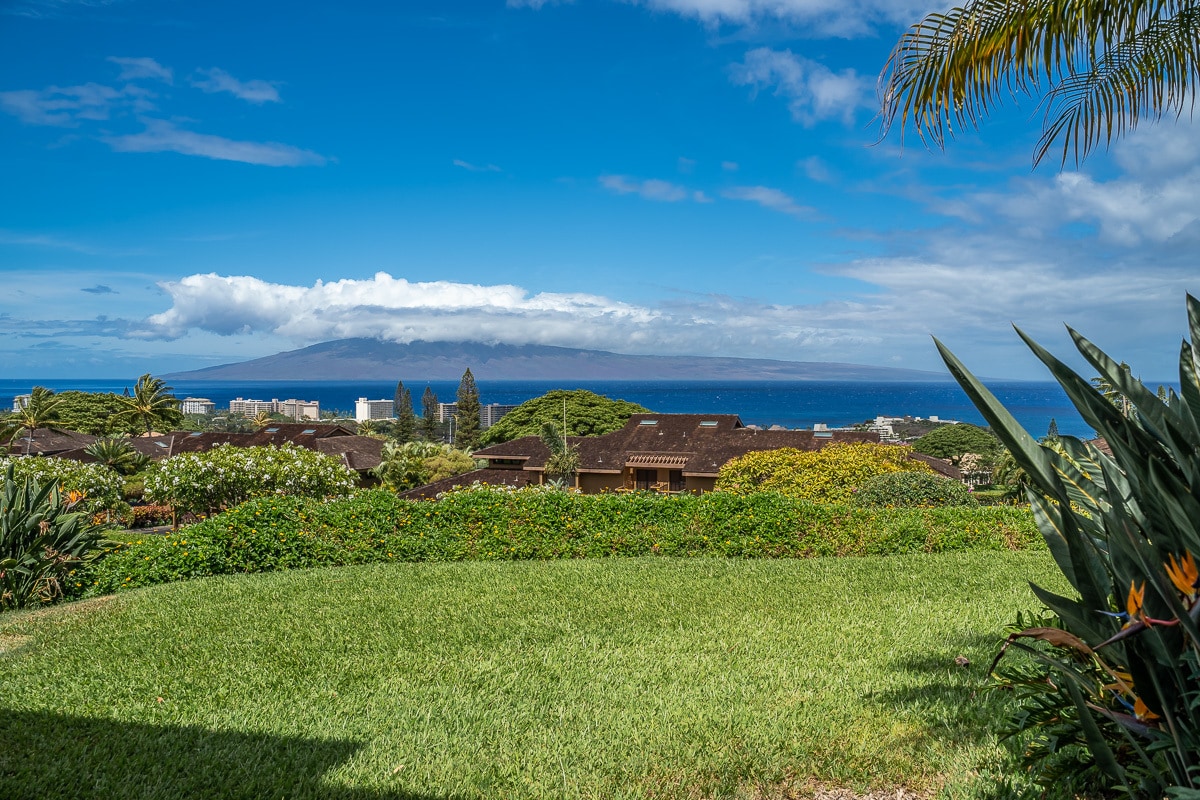 Building Photo - 50 Puu Anoano St