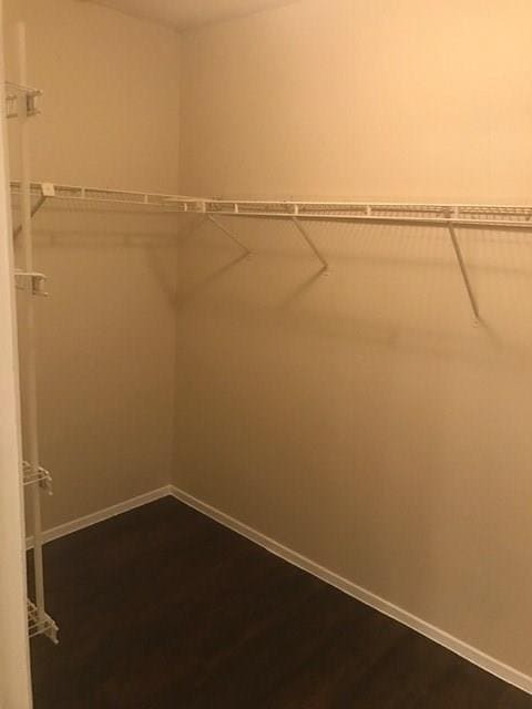 Building Photo - 10616 Mellow Ln