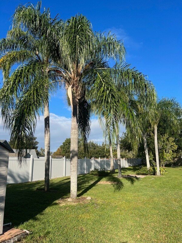 Building Photo - 664 Wyckliffe Pl