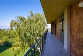 Building Photo - 910 Donner Way