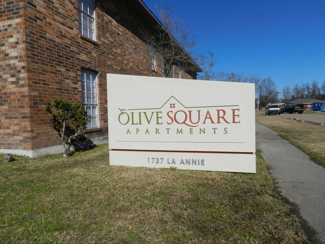 Primary Photo - Olive Square Apartments