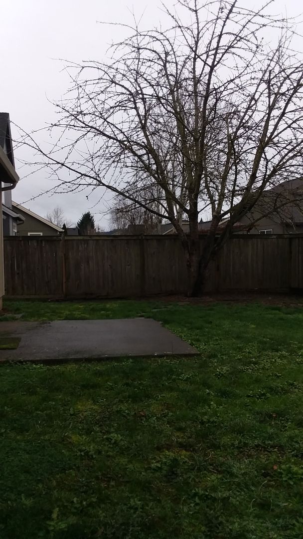 Building Photo - Beautiful Bethel-Danebo Home