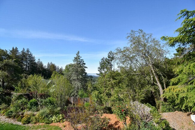 Building Photo - Los Gatos Mountain Living at its Best! Gated 1 Acre lot! Spacious 5 bedroom House! Pool!