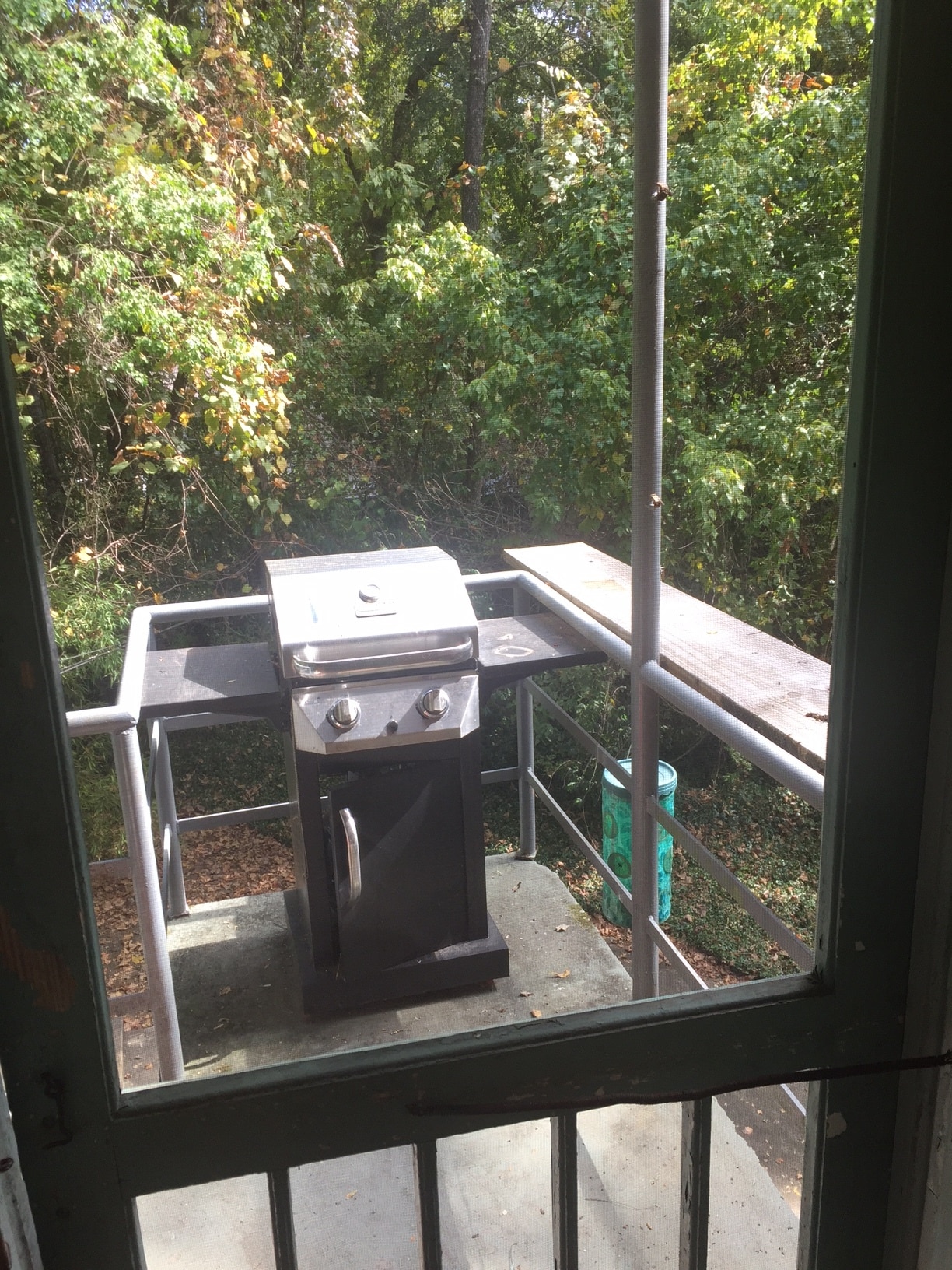 Backyard Deck with Grill - 1734 Saint Mary St