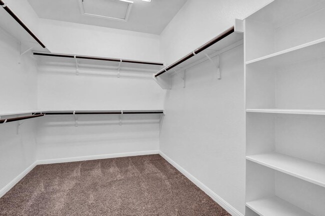 Building Photo - 2629 Coralbush Dr