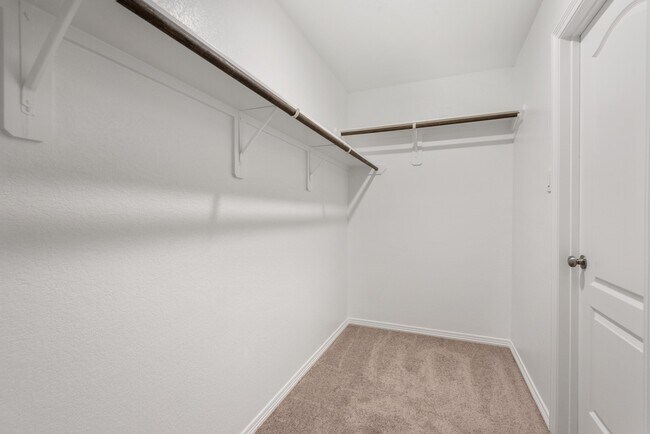 Building Photo - 25834 Northpark Pine Dr