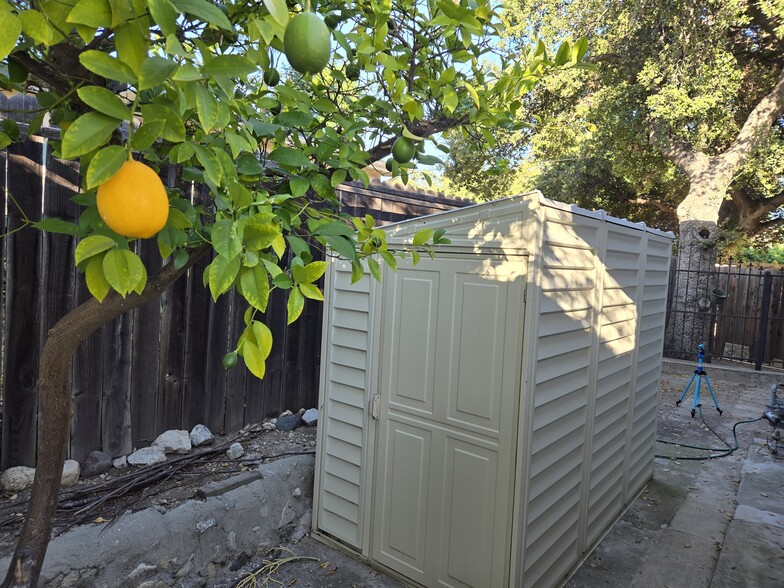Back yard - 3439 1/2 Altura Ave