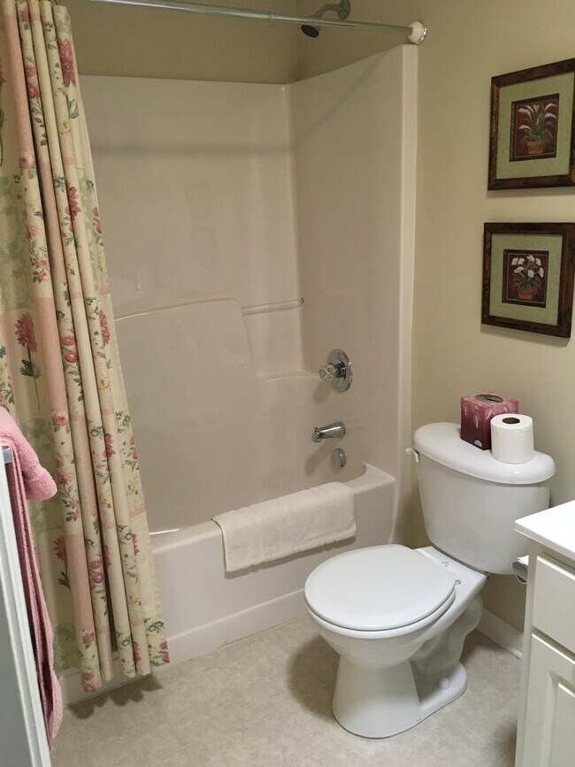 second bath/shower-tub - 1243 Carriage Dr
