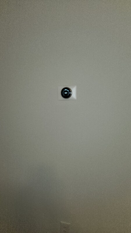 Building Photo - 2633 Taton Ct