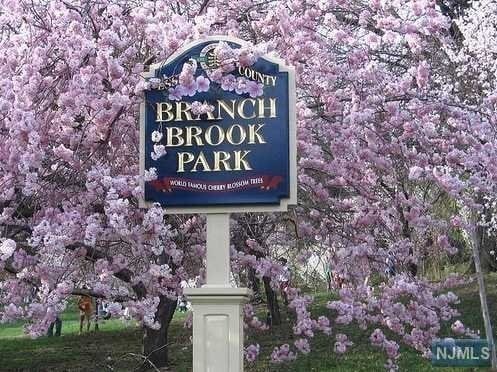 Branch Brook Park - 181 Ridge St