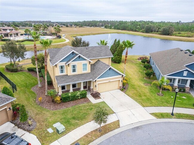 Building Photo - 13316 Palmera Vista Dr