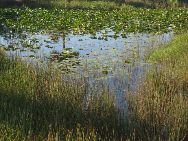 Building Photo - 2116 SE Eatonville Dr