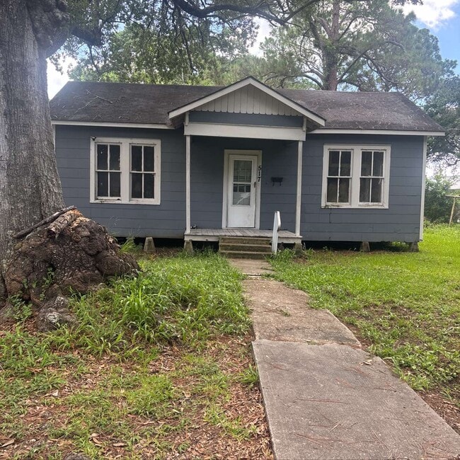 Building Photo - 517 Lasalle St