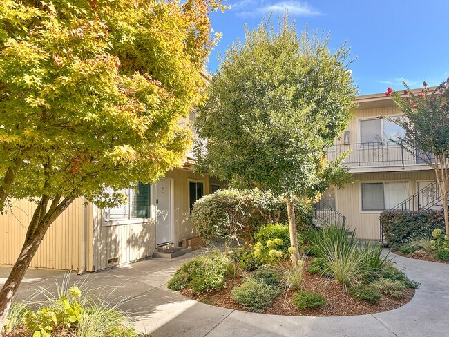 Floorplan - Hamilton Villa