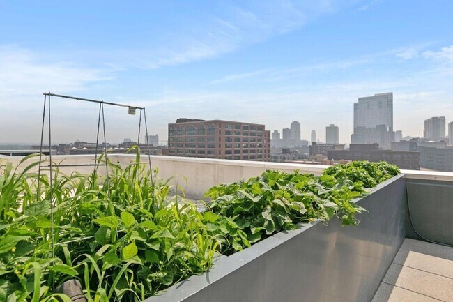 Building Photo - 345 N 6th Ave