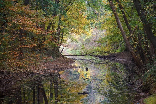 Building Photo - 409 Blue Robin Ln