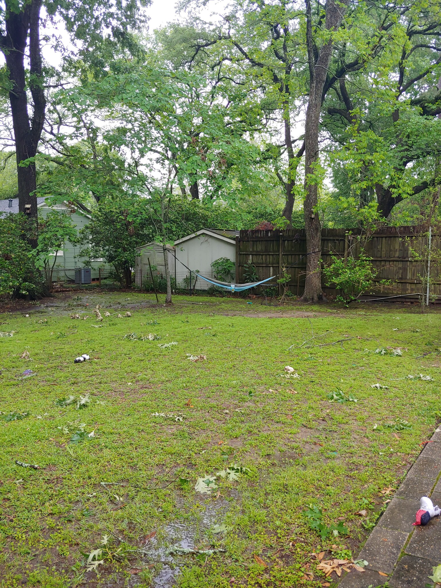 Large Backyard - 1855 Edinburgh Ave