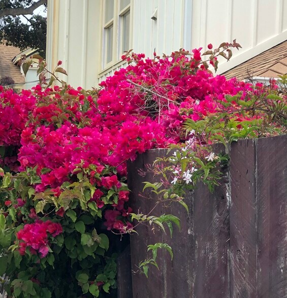 Color Galore! - 209 19th St